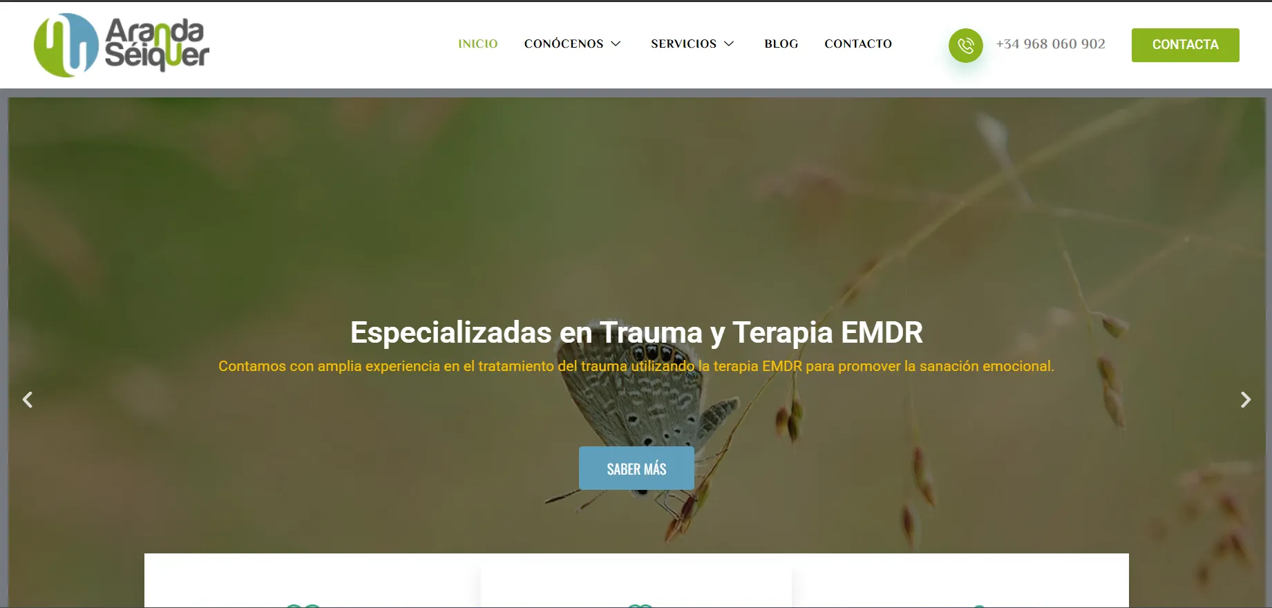 Diseño Web Murcia-Aranda-Séiquer, Psicología